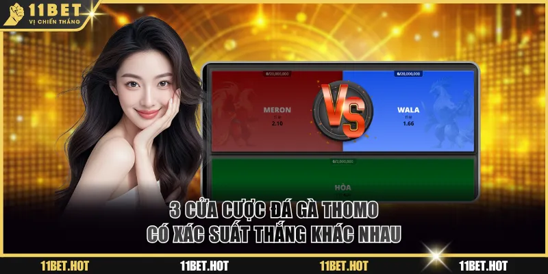 3 cửa cược đá gà Thomo có xác suất thắng khác nhau