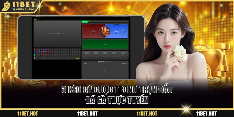 3 kèo cá cược trong trận đấu đá gà