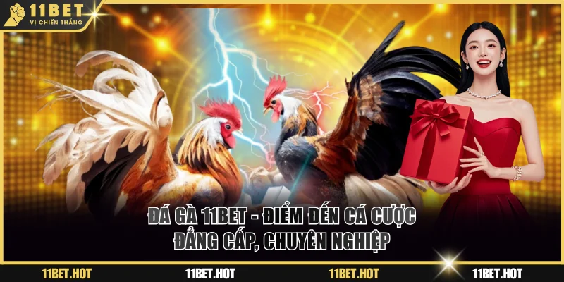 Đá Gà 11BET - Điểm Đến Cá Cược Đẳng Cấp, Chuyên Nghiệp