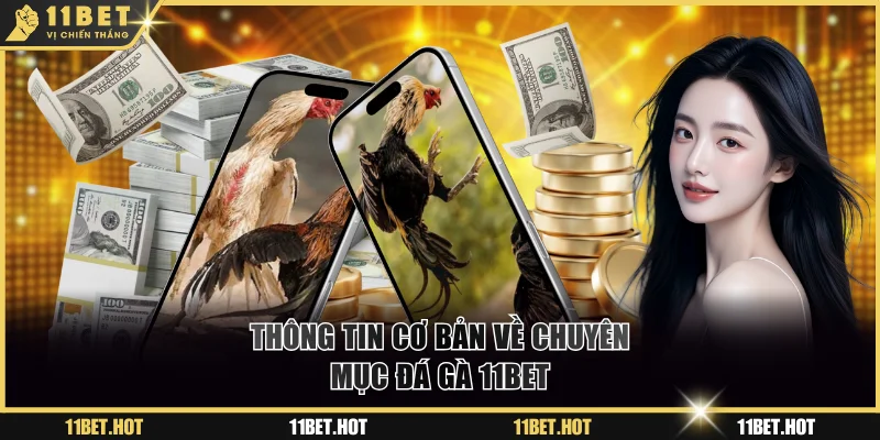 Thông tin giới thiệu sơ bộ về đá gà 11BET