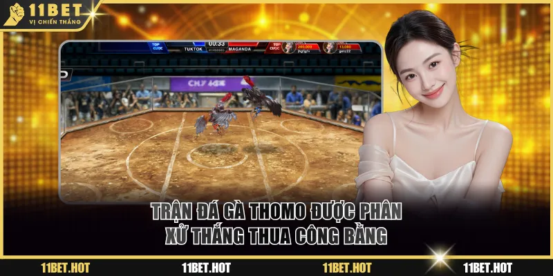 Trận đấu gà Thomo được phân xử thắng thua theo luật công bằng